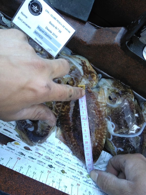 Fish Measure Picture