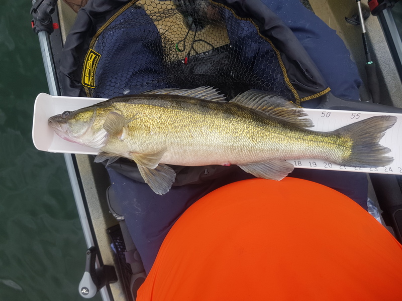 Fish Measure Picture