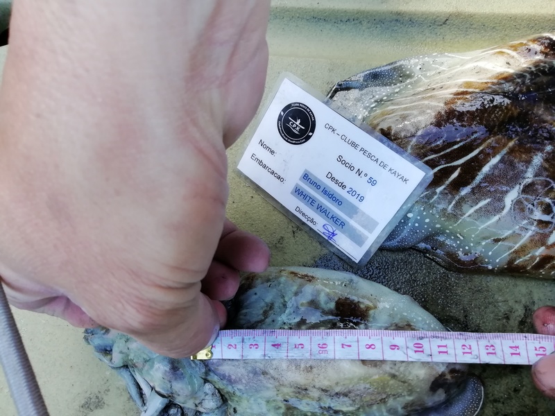 Fish Measure Picture