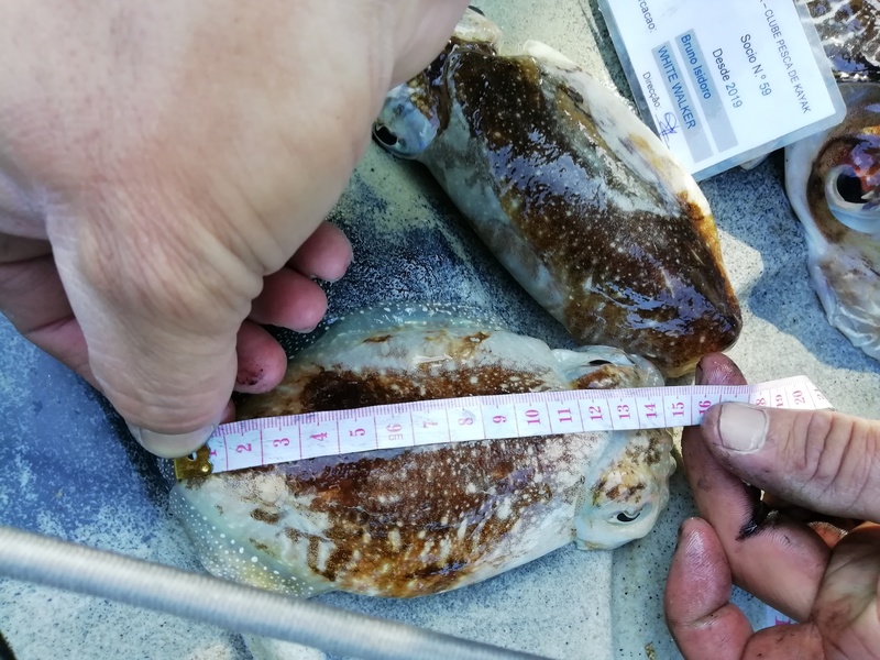 Fish Measure Picture