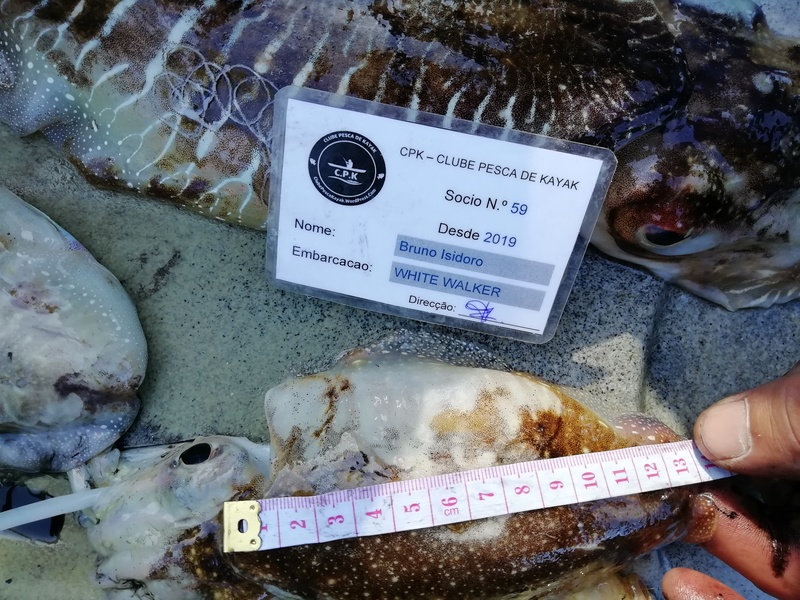 Fish Measure Picture