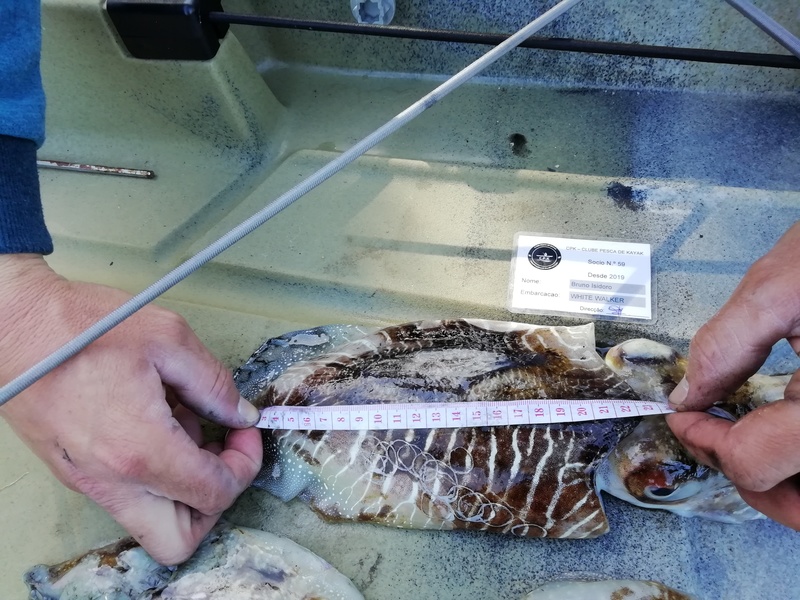 Fish Measure Picture