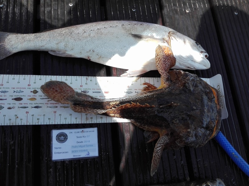 Fish Measure Picture