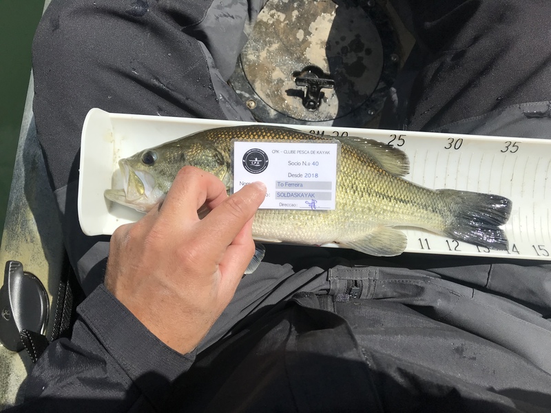 Fish Measure Picture