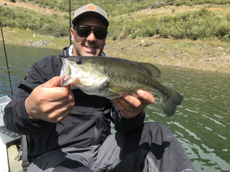 Fish Profile Picture