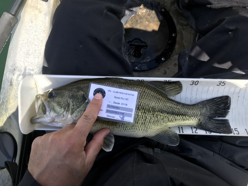 Fish Measure Picture