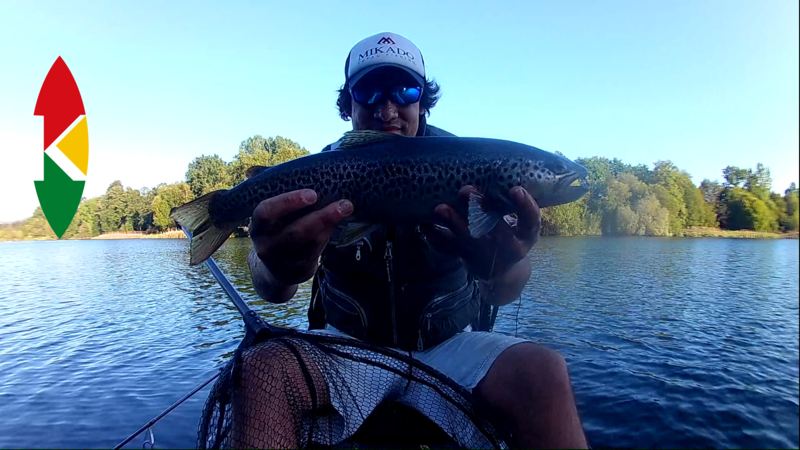 Fish Profile Picture