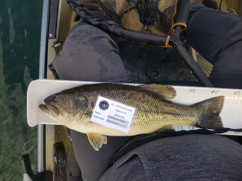 Fish Measure Picture
