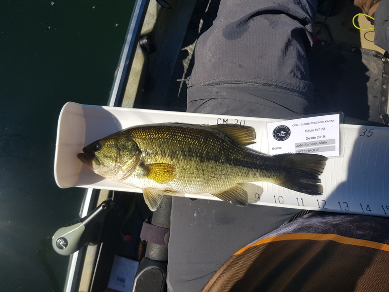 Fish Measure Picture