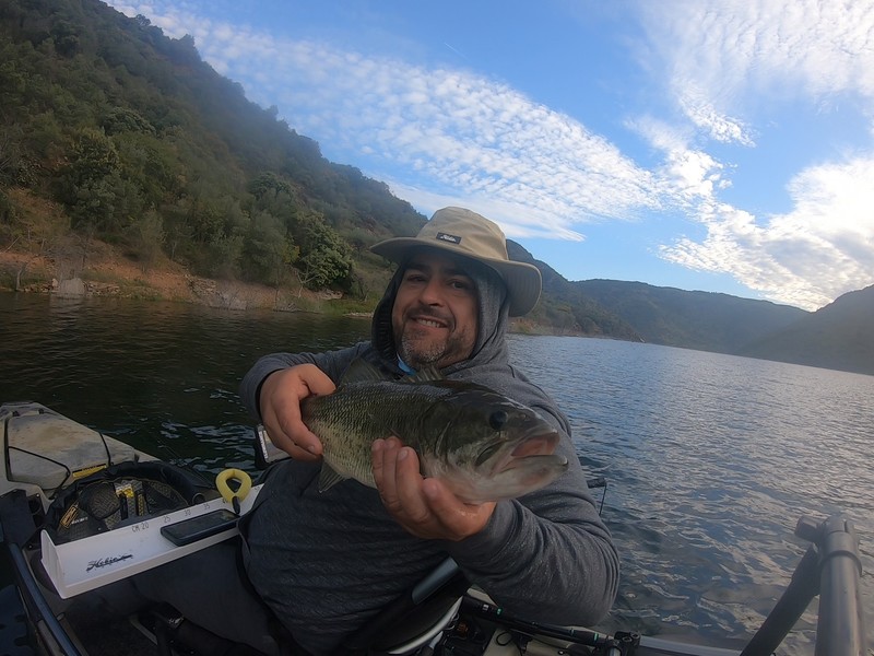 Fish Profile Picture