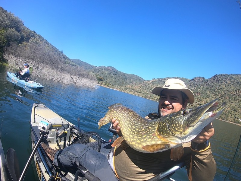 Fish Profile Picture