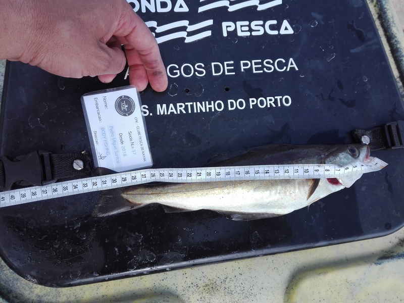 Fish Measure Picture