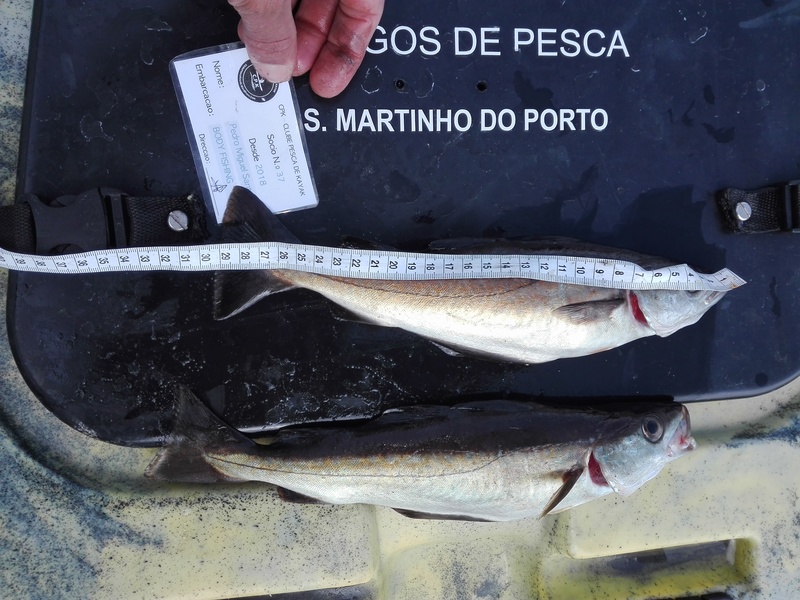 Fish Measure Picture
