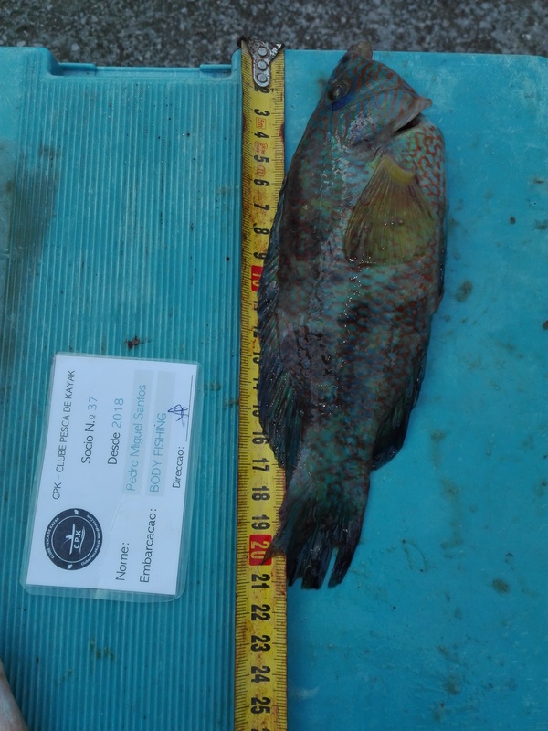 Fish Measure Picture