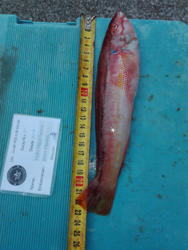 Fish Measure Picture