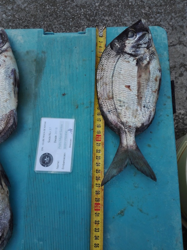 Fish Measure Picture