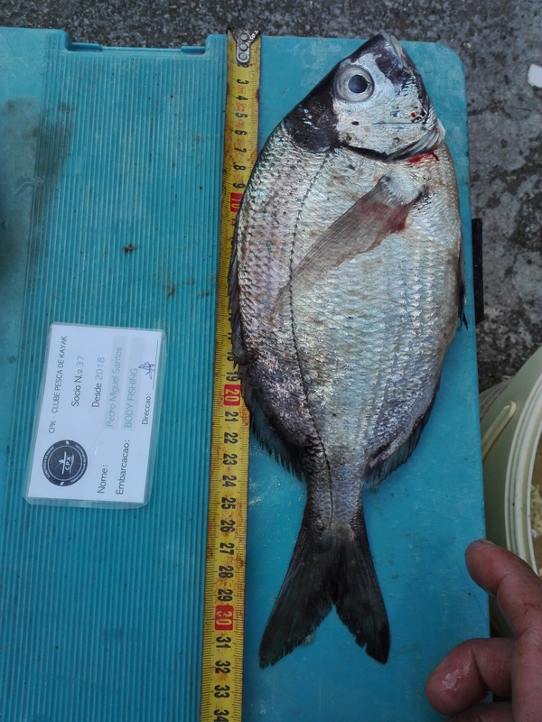 Fish Measure Picture