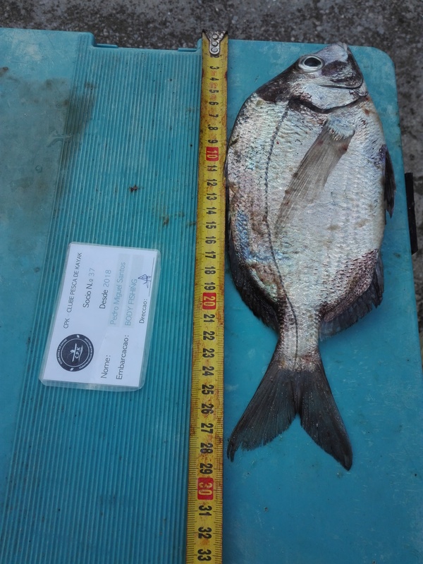 Fish Measure Picture