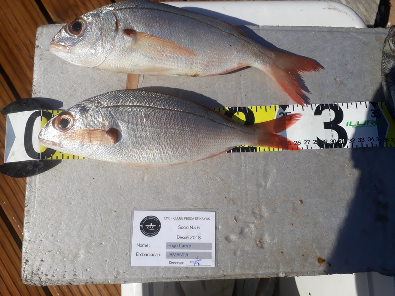Fish Measure Picture