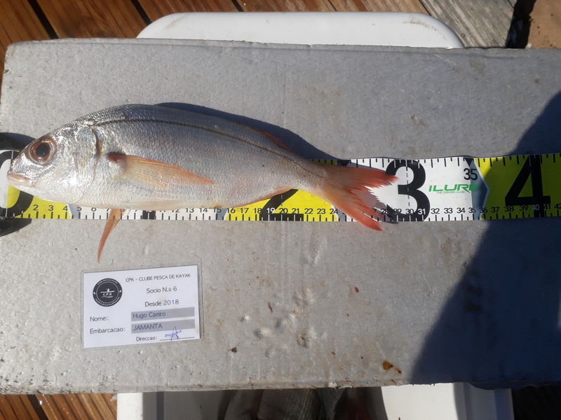 Fish Measure Picture