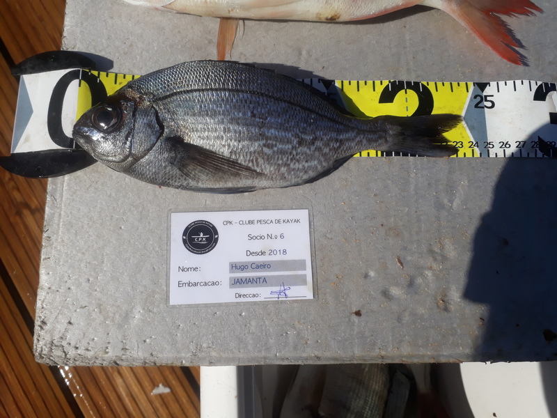 Fish Measure Picture