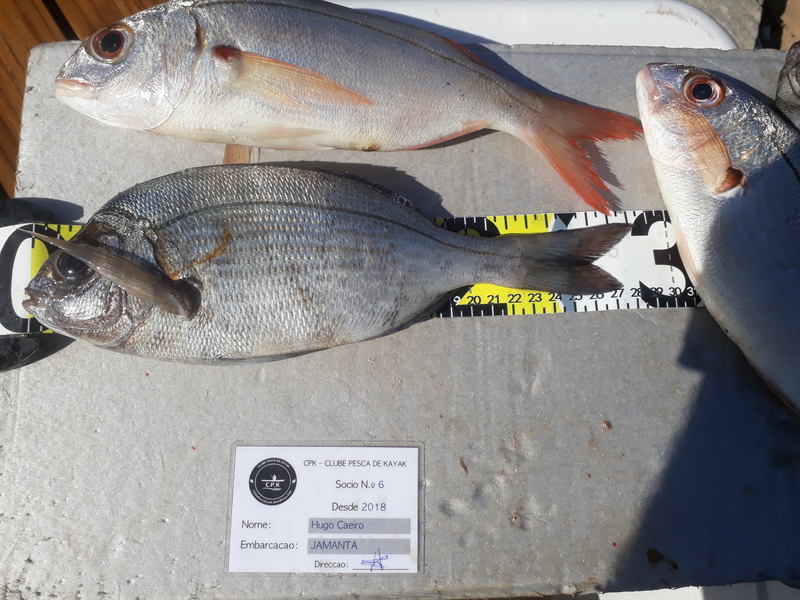Fish Measure Picture