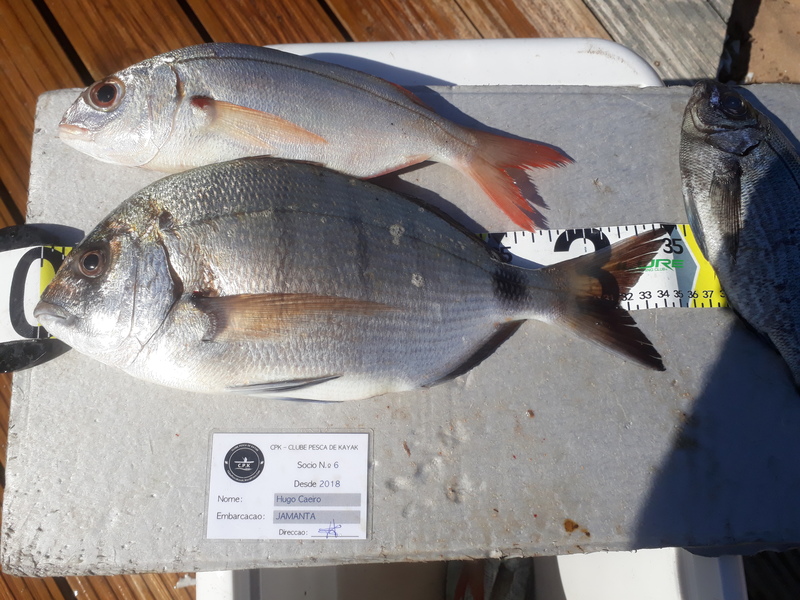 Fish Measure Picture