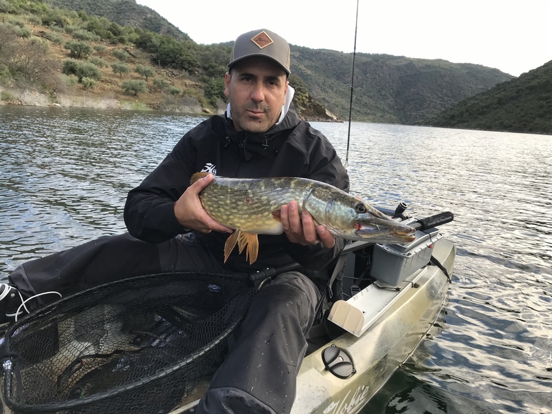 Fish Profile Picture