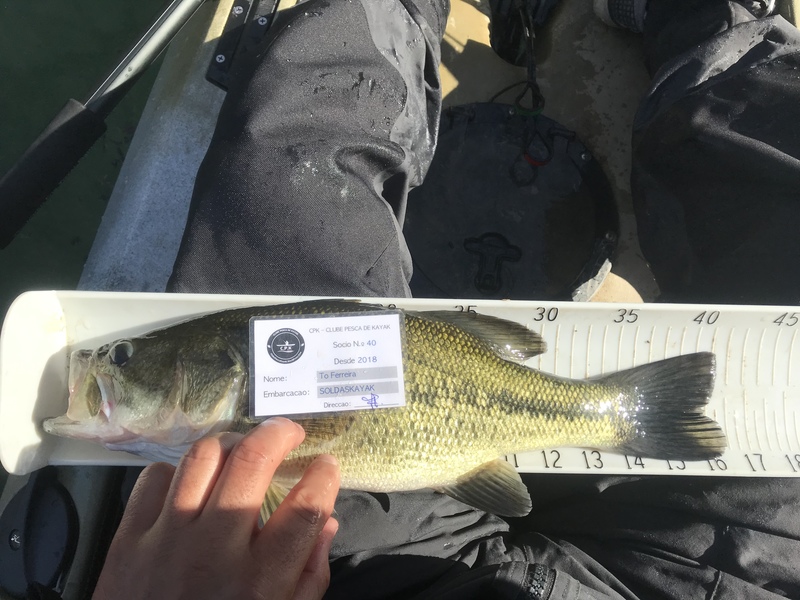 Fish Measure Picture