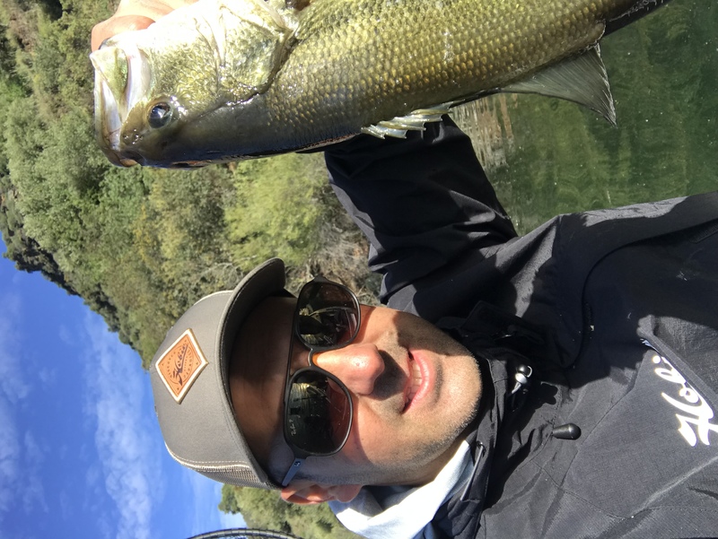 Fish Profile Picture