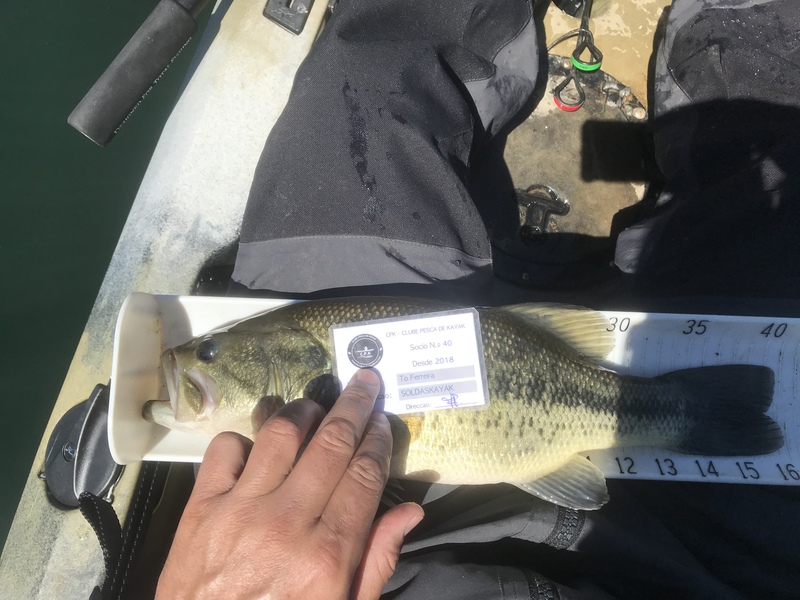 Fish Measure Picture