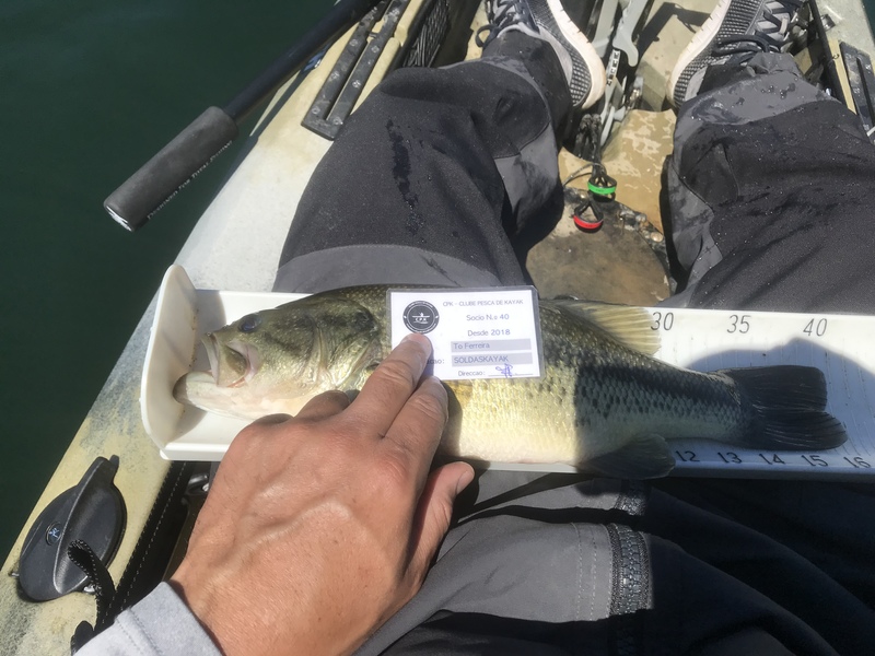 Fish Measure Picture