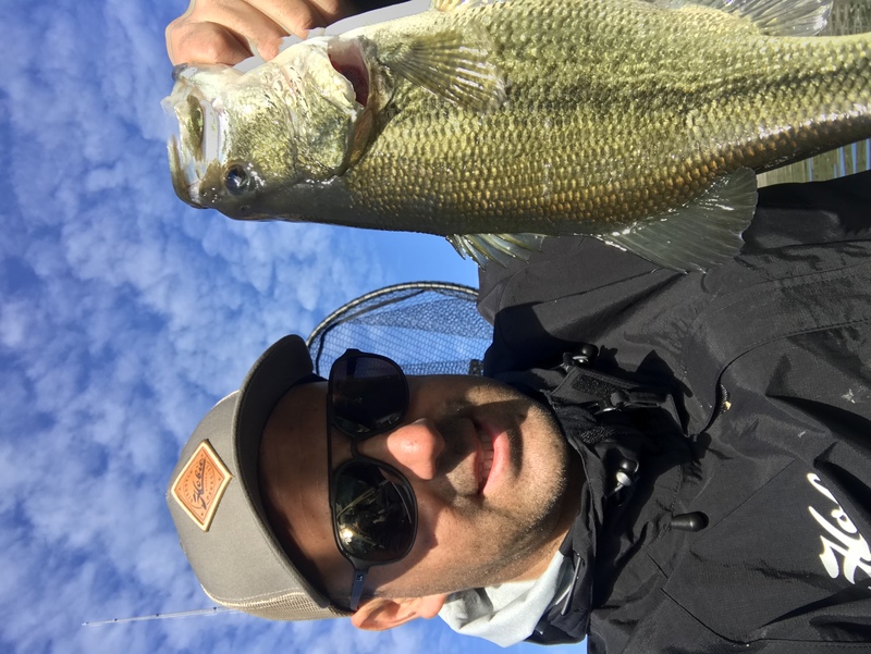 Fish Profile Picture