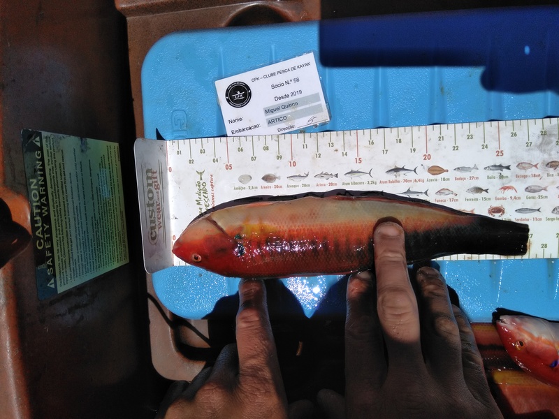 Fish Measure Picture