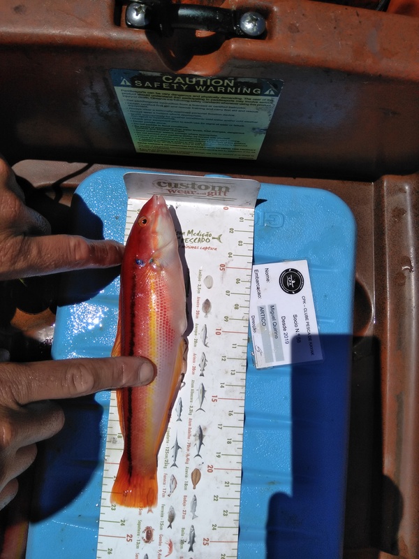 Fish Measure Picture