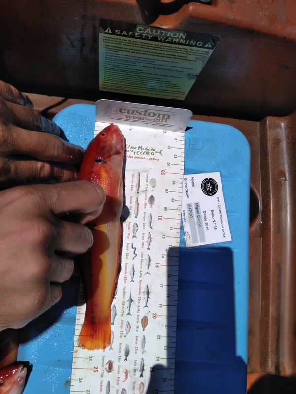 Fish Measure Picture