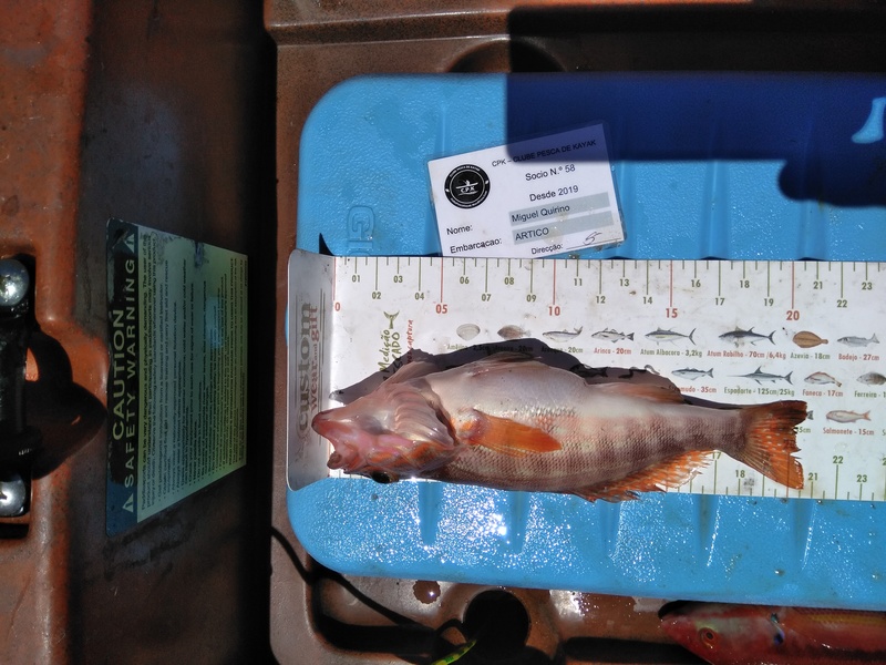 Fish Measure Picture