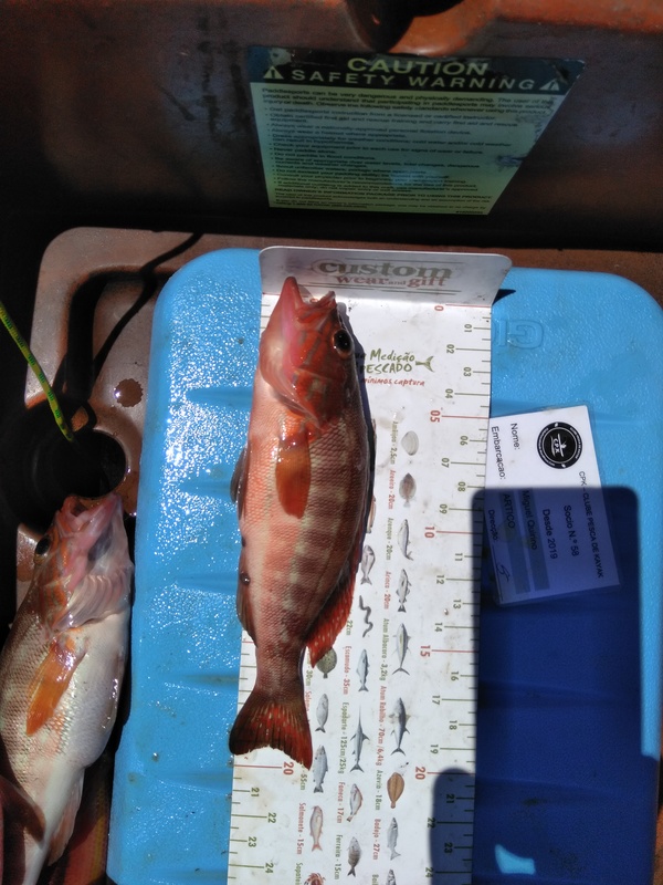 Fish Measure Picture