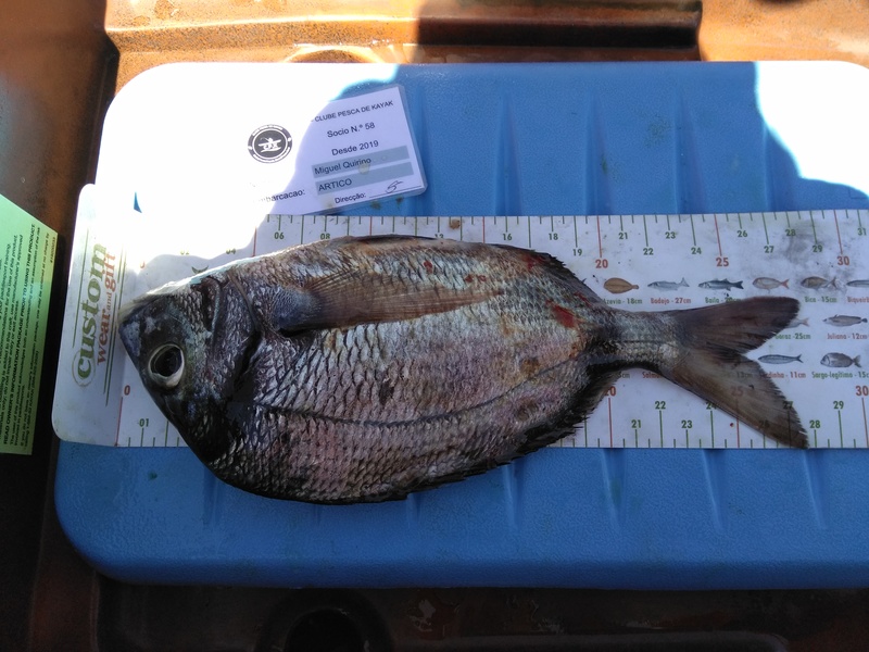 Fish Measure Picture