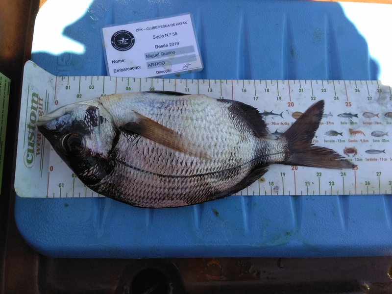 Fish Measure Picture