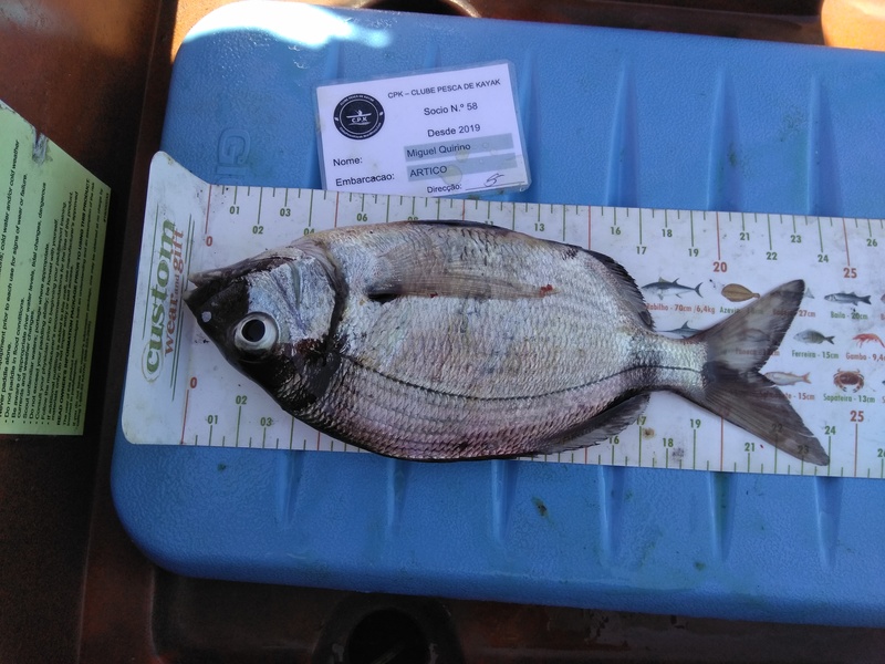 Fish Measure Picture