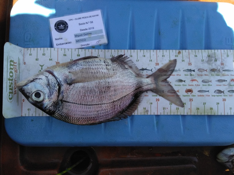 Fish Measure Picture