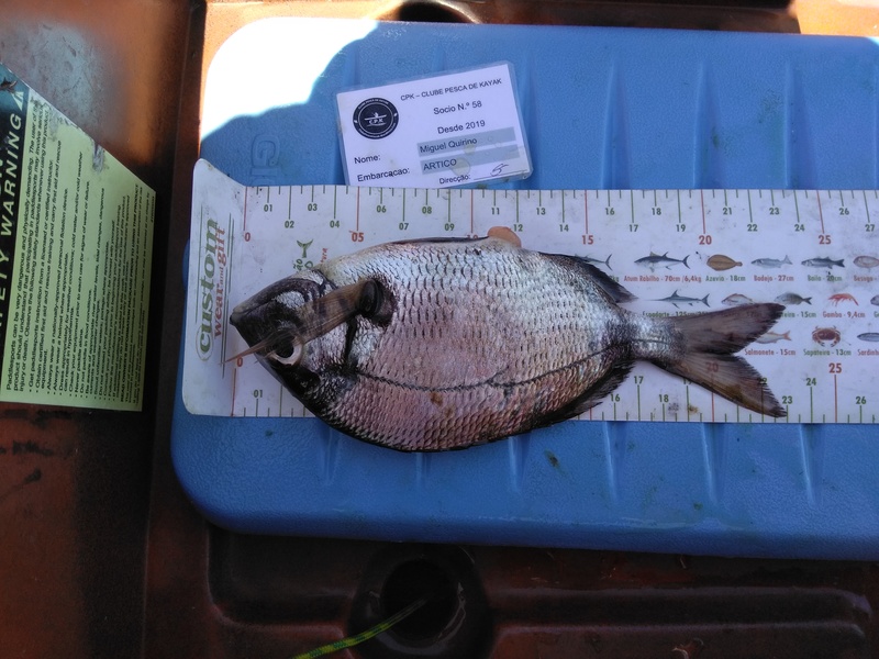 Fish Measure Picture