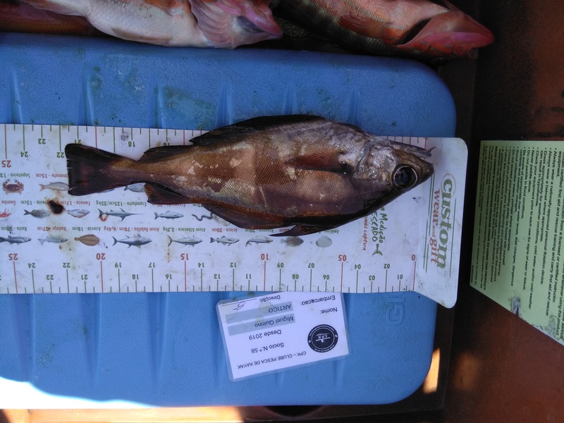 Fish Measure Picture