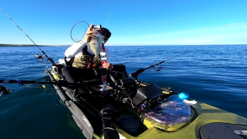 Fish Measure Picture