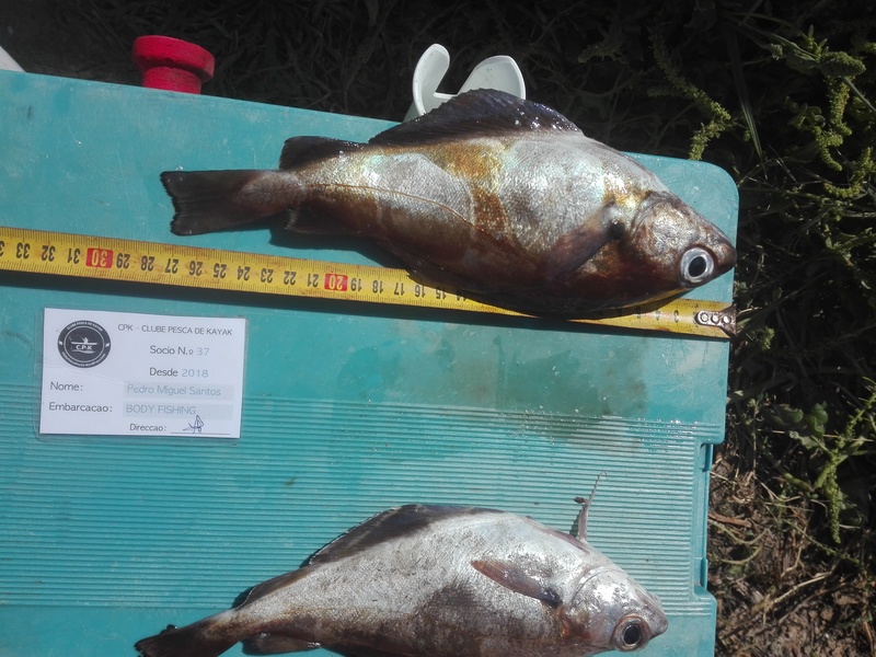 Fish Measure Picture