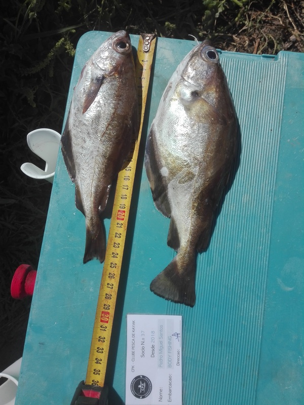 Fish Measure Picture