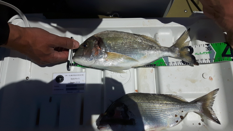 Fish Measure Picture