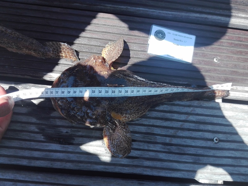 Fish Measure Picture