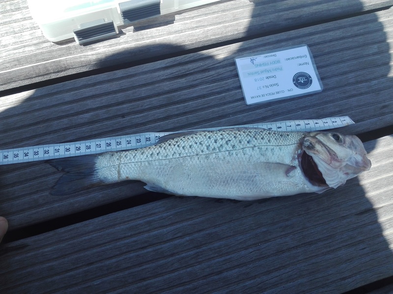 Fish Measure Picture
